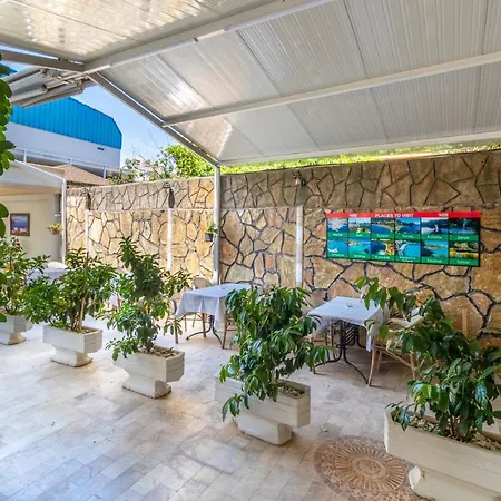 Star マルマリス