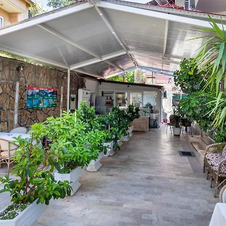 Star マルマリス