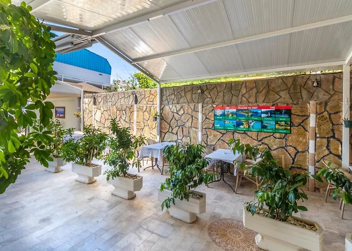 Star マルマリス