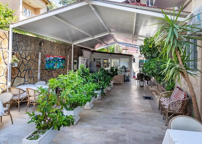 Star マルマリス